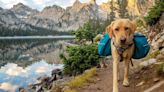 8 dog-friendly hikes found around Colorado