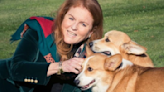 Sarah Ferguson Just Shared The 1st Pics Of The Queen's Corgis Since Her Death