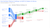 Northam Platinum Holdings Ltd's Dividend Analysis