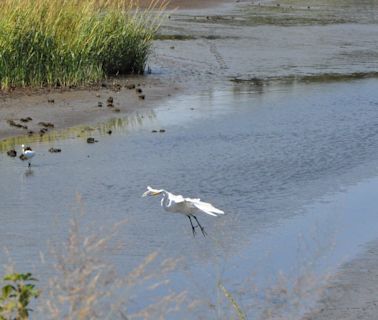 For bird-watching, experts say autumn is the best time and Delaware is a top spot for it