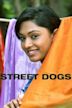 Street Dogs