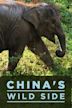 China's Wild Side