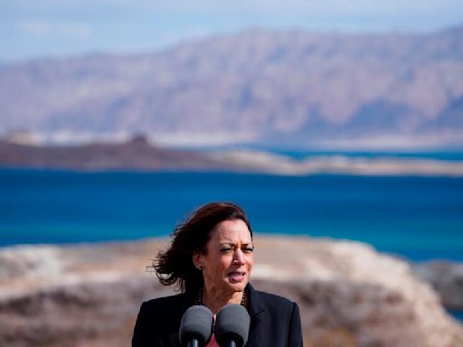 Environmental groups 'ecstatic' over Kamala Harris' candidacy and California climate record