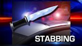 One hospitalized, one arrested in Harrison County stabbing - WV MetroNews