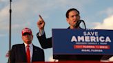 Marco Rubio's own words about Donald Trump used against him