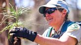 PHOTOS: Reforestation project adds thousands of seedlings to Lake Christine burn area