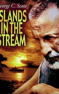 Islands in the Stream (film)