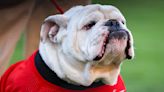 Georgia Bulldog mascot Uga X: In memoriam, 2013-2024