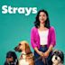 Strays