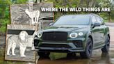 2023 Bentley Bentayga Night Vision Test: Critter Spotting in the Ozarks