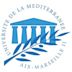 University of the Mediterranean - Aix Marseille II