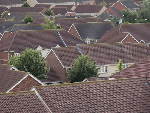 UK house prices likely to rise modestly this year and into 2025, says Halifax