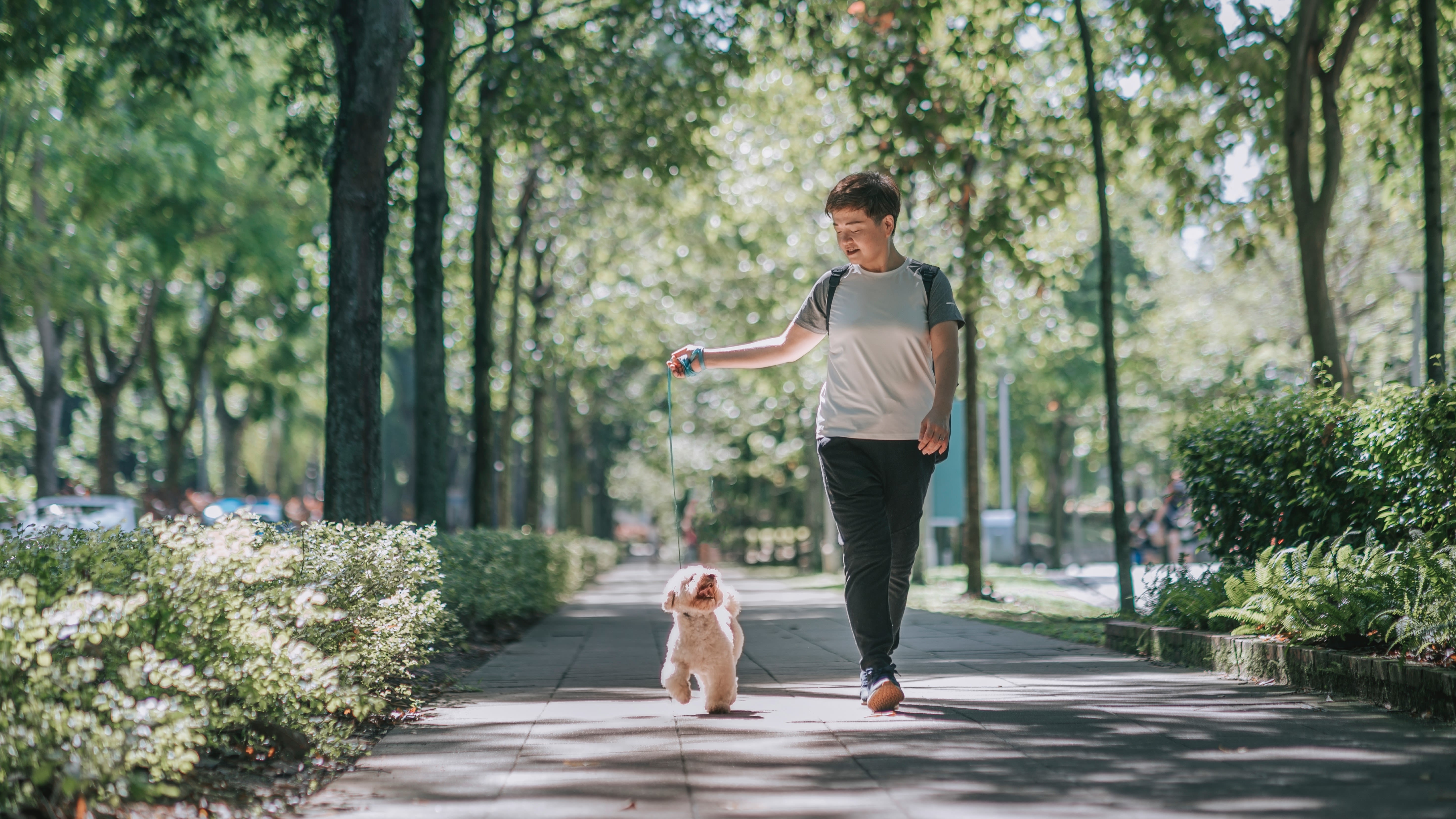 Try out this trainer's surprisingly simple advice to help manage your dog’s triggers on walks