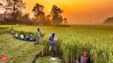 Union budget 2024: Making a case for sustainable agrarian practices and inclusive growth