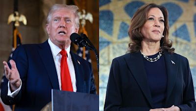 In Trump vs. Harris, It’s Reality-TV Ringleading vs. the TikTok Ticket