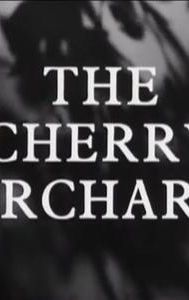 The Cherry Orchard