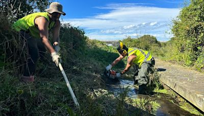 By land, sea and sky, Māori are using Indigenous knowledge to combat climate change