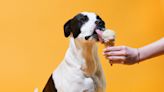Pawsome News: Van Leeuwen and Ollie Just Released Ice Cream for Dogs