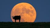 Fishing Roundup: You like a full moon? Well, you might not like this one