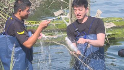 暑假嘉義最大盛事! "東石海之夏"7/20起漁人碼頭登場