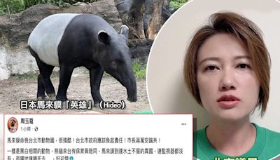 日馬來貘「英雄」抵台死亡、死因爲熱緊迫！周玉蔻轟「蔣萬安踹共」北市府應負責...林延鳳：籲台日主管機關提共同調查報告