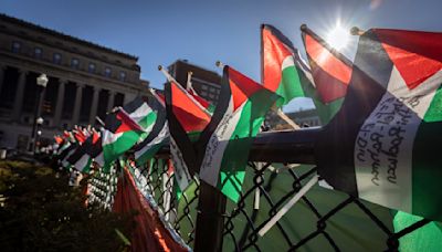 Decenas de arrestos en campus de California mientras persisten protestas contra la guerra en Gaza
