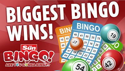 Biggest online and in-house bingo wins: 8 millionaires and their stories