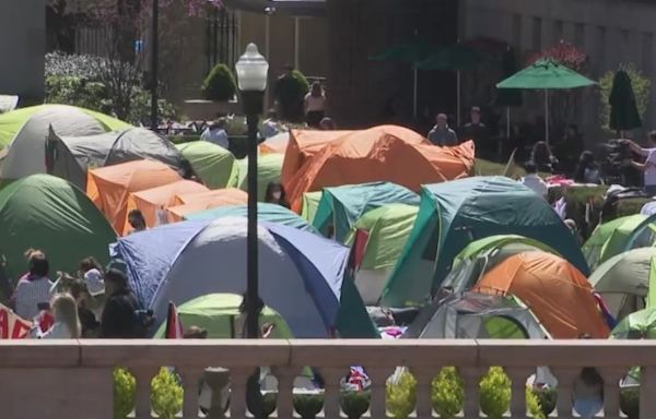 New information shows many protesters weren’t students, NYPD says