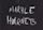 Marble Hornets