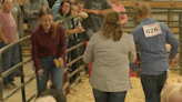 Bounce into fun at the Marquette County Fair