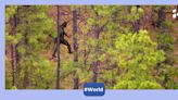 Bigfoot enthusiasts say this documentary crew may have accidentally filmed a sasquatch, others disagree