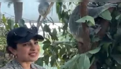 At an Australian homestead, Priyanka Chopra meets a baby koala named after her - CNBC TV18