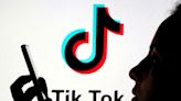 Japan lawmakers eye ban on TikTok, others if used improperly