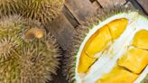 A woman lost her life savings and was left with just $5 after she got scammed by a bogus durian seller: report