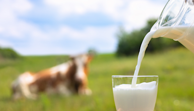 6 things to mix in milk for added benefits | The Times of India