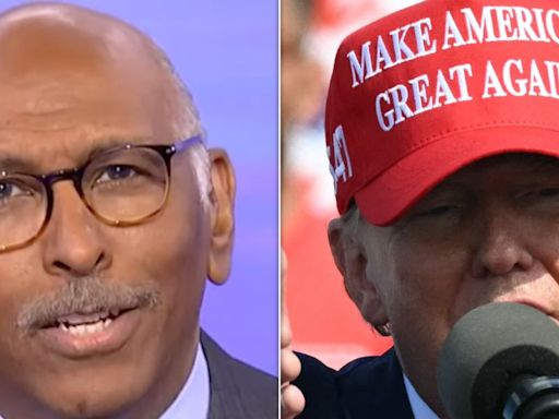Ex-RNC Chair Picks Apart 'Word Salad' From 'Particularly Unhinged' Trump Rally