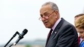 Schumer tells colleagues not to expect a gun control vote anytime soon