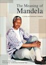 The Meaning of Mandela: A Literary and Intellectual Celebration