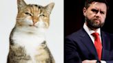 FYI, JD Vance Isn't The First Man To Resent Cat Ladies — They've Always Been Politicized