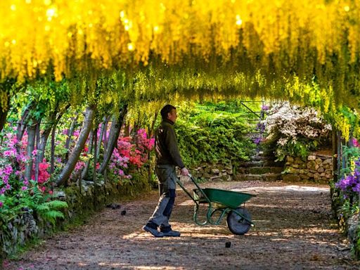 This gorgeous Welsh garden has been named one of the best in Europe