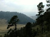 Parque nacional Insurgente Miguel Hidalgo y Costilla