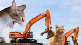 Must-have cat calendar for 2023 by Army Corps of Engineers depicts giant cats on infrastructure