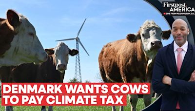 Denmark: Cows to Pay $100 Tax For Their Burps and Farts