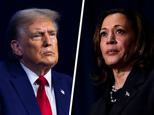 Maddow Blog | Trump picks a nickname for Harris that no one seems to understand