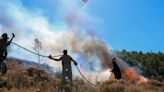 Greek prime minister warns of dangerous summer for wildfires