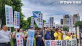 台灣國：小草「神格化」柯文哲陷入盲從！520前踢館民進黨