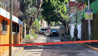 Fiscalía decomisa leones, drogas y armas tras cateo de residencia en Cuernavaca | El Universal