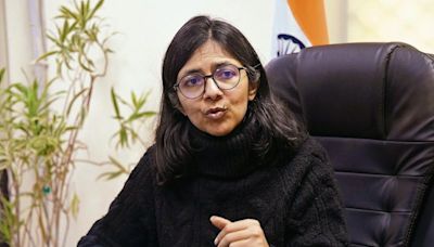 Don’t use our struggle for personal gains, DCW members tell Maliwal