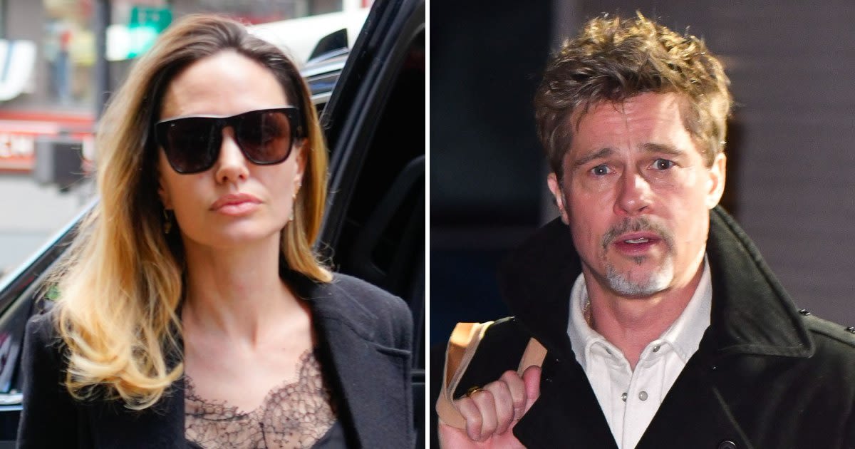 Angelina Jolie and Brad Pitt's Plane Incident: What Happened