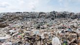 WWF critica que los países aún no hayan decidido si el tratado global contra el plástico será de obligado cumplimiento